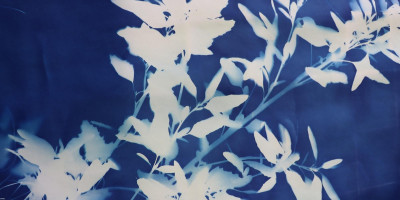 Cyanotypie-Kunstwerk mit weißen Blütenmotiven auf tiefblauem Hintergrund
